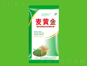麥黃金-佳康