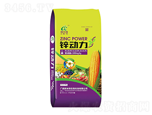 鋅動力-阿米特