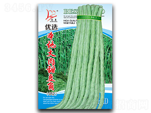 本地大肉甜豆角-豆角種子-閩皇種業