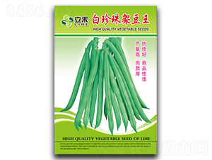 白珍珠架豆王-架豆種子-閩皇種業