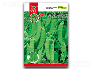 604甜脆荷蘭豆-荷蘭豆種子-閩皇種業