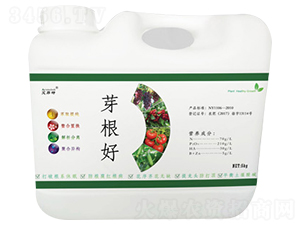 芽根好-艾昂特