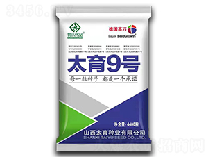 太育9號-玉米種子-袁氏農業