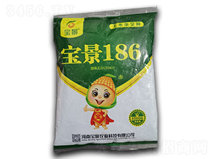寶景186-玉米種子-袁氏農業