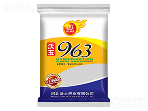 沃玉963-玉米種子-沃土種業