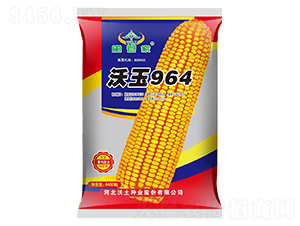 沃玉964-玉米種子-沃土種業