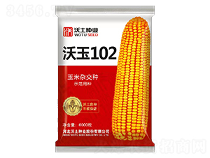 102-׷N-NI
