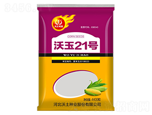 沃玉21號-玉米種子-沃土種業