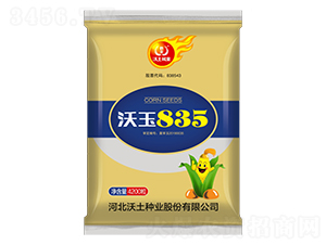 沃玉835-玉米種子-沃土種業