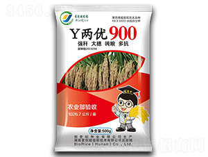 Y兩優900-水稻種子-創世紀