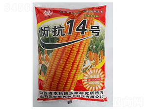 忻抗14號-玉米種子-三聯
