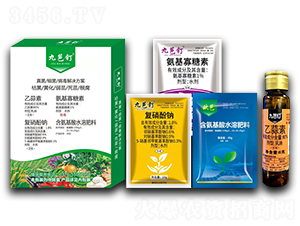 真菌、細(xì)菌、病毒解決方案-標(biāo)正農(nóng)化