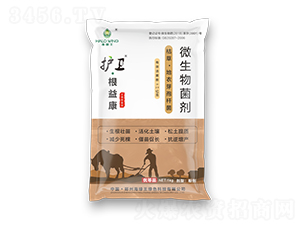 護衛·根益康-海綠王
