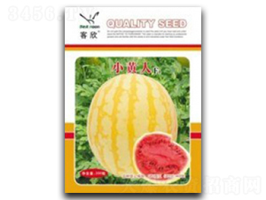 小黃人-西瓜種子-臺州農資