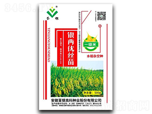 銀兩優絲苗-水稻種子-荃銀高科