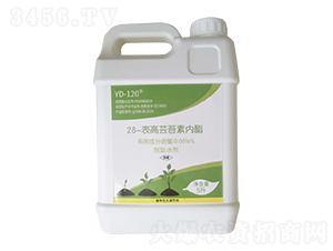 28表高蕓苔素內酯-鑫天蘭農業