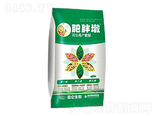 花生高產套餐-肥胖墩-愛普達