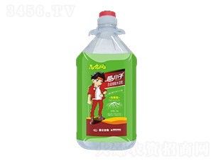 含腐植酸水溶肥-根小子-愛普達