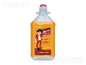 平衡型含腐殖酸水溶肥-根小子-愛普達