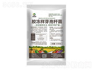 膠凍樣芽孢桿菌-農保生物