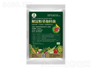 解淀粉芽孢桿菌-農保生物