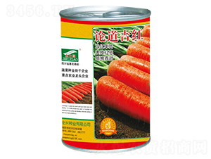 論道吉紅-胡蘿卜種子-全興種業