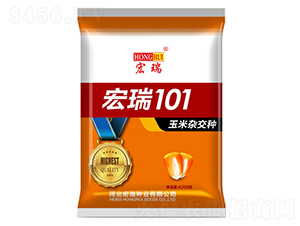 宏瑞101-玉米種子-宏瑞種業