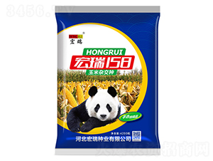 宏瑞158（藍）-玉米種子-宏瑞種業