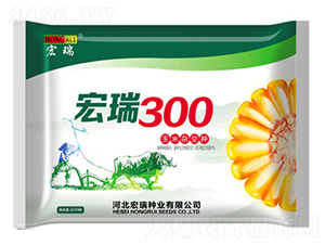 宏瑞300-玉米種子-宏瑞種業