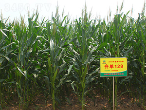 R128-׷N-SNI
