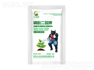 500g磷酸二氫鉀-火力生物