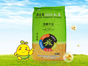 發酵大豆-宏升生物