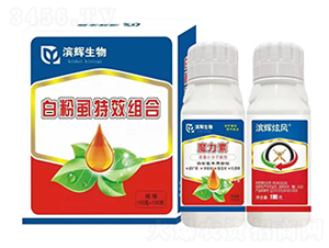 濱輝炫風～白粉虱組合套裝-濱輝生物