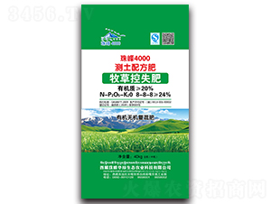 ݿʧy䷽ͻ8-8-8-4000