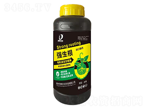 有機蛋白生根酶-海峽農業