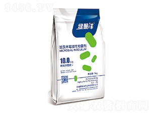 長枝木霉微生物菌劑-綠聚灃-粵杰生物