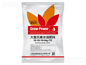 大量元素水溶肥19-19-19+Mg+TE-拉美芬