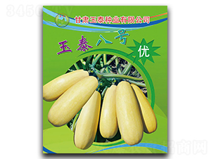 玉泰八號-西葫蘆種子-玉泰種業