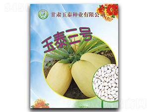 玉泰三號-西葫蘆種子-玉泰種業