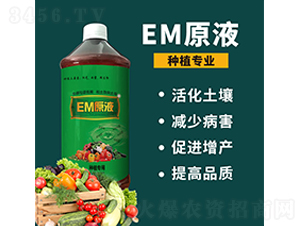 EMԭҺ-΢rI