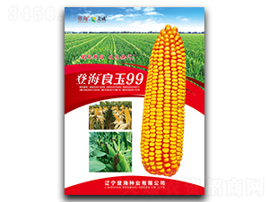 登海良玉99-玉米種子-登海種業