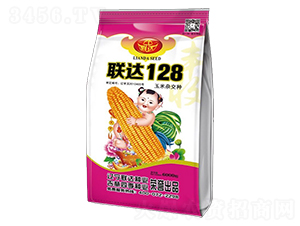 聯達128-玉米種子-四季種業