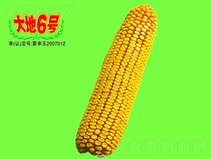6̖-׷N-طNI