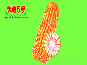 5̖-׷N-طNI
