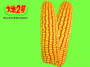 2̖-׷N-طNI