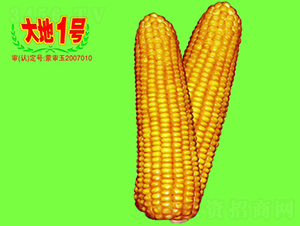 1̖-׷N-طNI