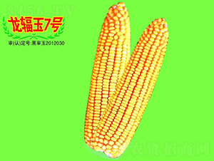 ݗ7̖-׷N-طNI