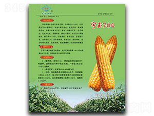 宇玉704-玉米種子-大地種業