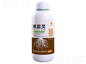 根腐靈-一米陽光