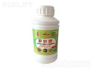 抗病型微生物菌劑-護葉靈-金滿田
